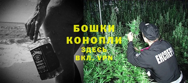 гашиш Богданович