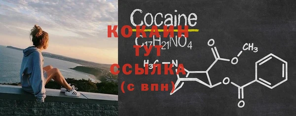 шишки Беломорск