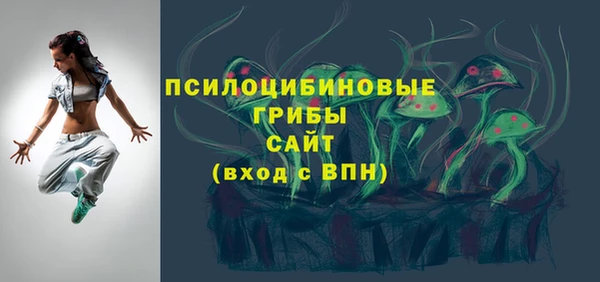 гашиш Богданович