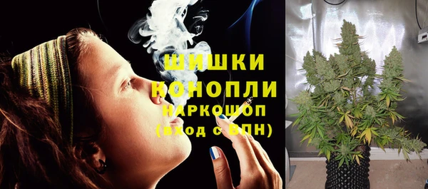 гашиш Богданович